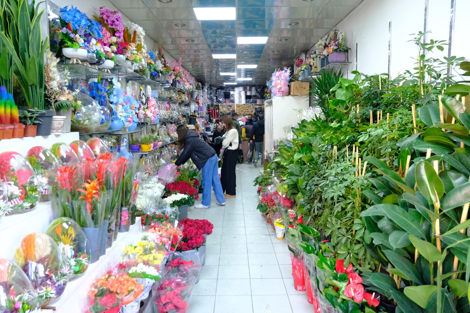 Whatsapp Image 2025 11 24 At 11.32.57 (5)