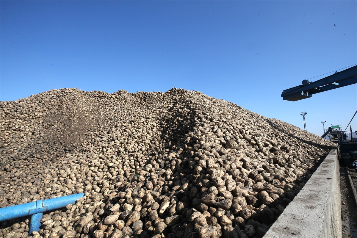 A A 20251202 39867232 39867226 M U S V E V A N D A K I F A B R I K A L A R D A 76 B I N 10 T O N S E K E R U R E T I M I H E D E F L E N I Y O R