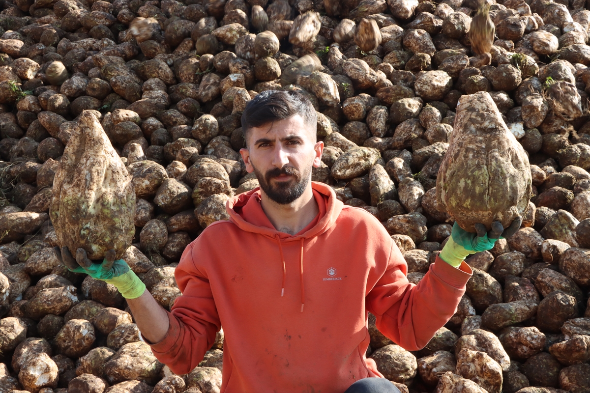 A A 20251202 39867334 39867333 M U S V E V A N D A K I F A B R I K A L A R D A 76 B I N 10 T O N S E K E R U R E T I M I H E D E F L E N I Y O R