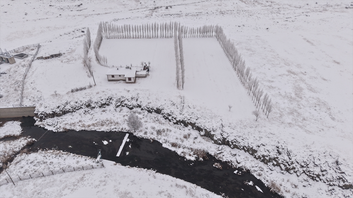 A A 20251202 39871470 39871469 V A N D A M E R A D A K O Y U N O T L A T A N C O B A N L A R K A R A Y A K A L A N D I