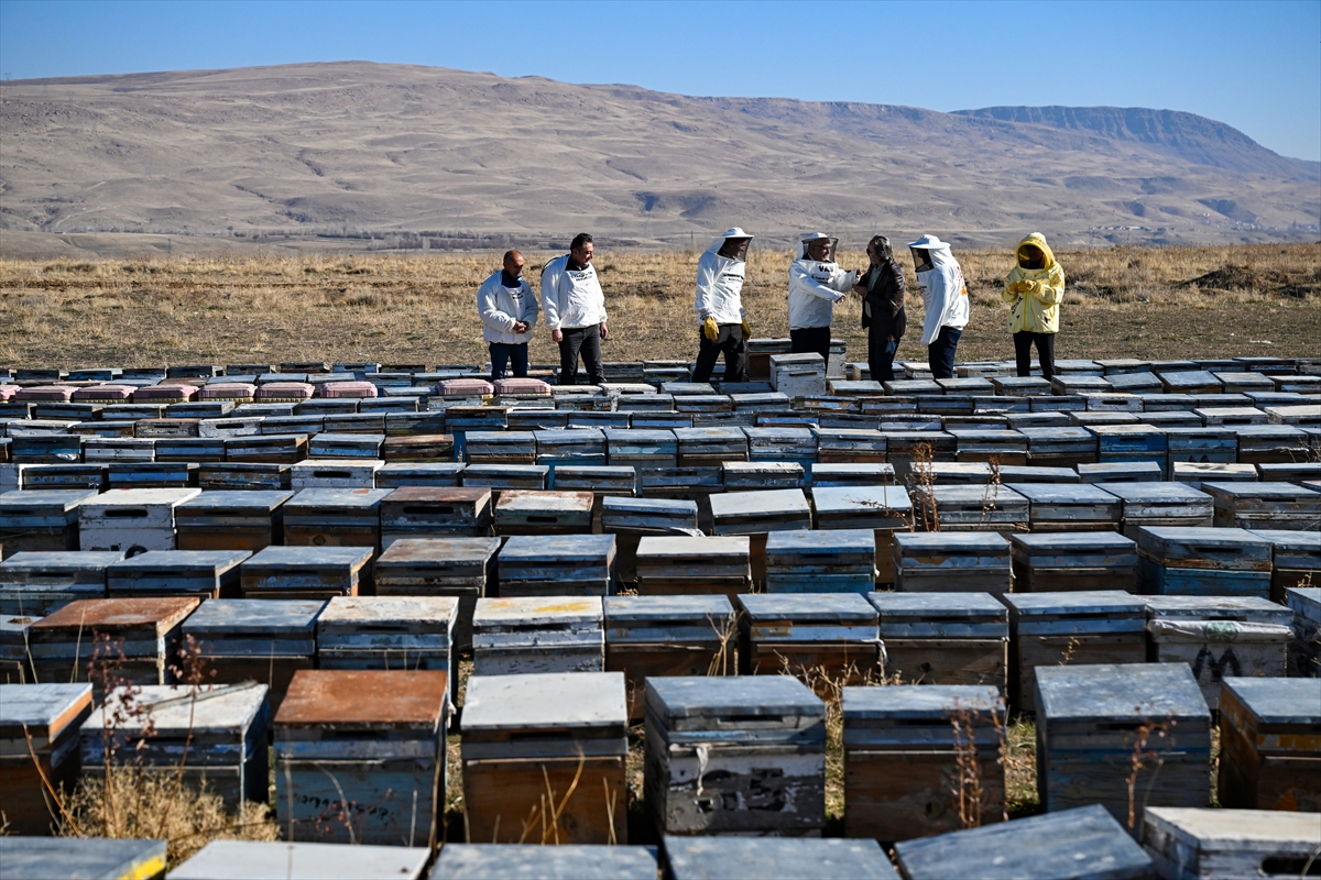 A A 20251203 39877422 39877410 V A N I N V E R I M L I Y A Y L A L A R I N D A U R E T I L E N B A L A Z E R B A Y C A N D A A L T I N B A L O D U L U N E L A Y I K G O R U L D U