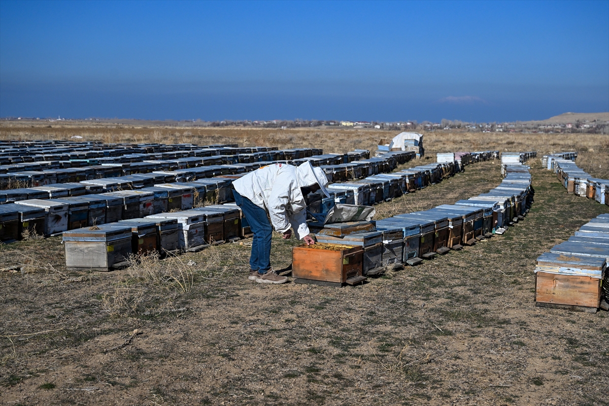 A A 20251203 39877422 39877413 V A N I N V E R I M L I Y A Y L A L A R I N D A U R E T I L E N B A L A Z E R B A Y C A N D A A L T I N B A L O D U L U N E L A Y I K G O R U L D U