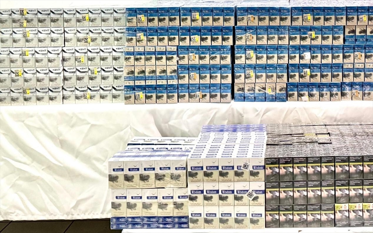 A A 20251212 39963003 39963002 V A N D A 8 B I N 200 P A K E T G U M R U K K A C A G I S I G A R A E L E G E C I R I L D I