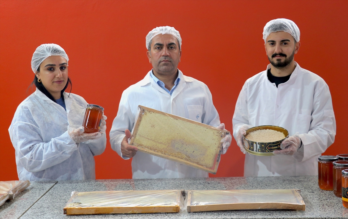 A A 20251218 40012399 40012392 V A N L I A R I C I D U B A I Y E 165 T O N P E T E K B A L G O N D E R D I