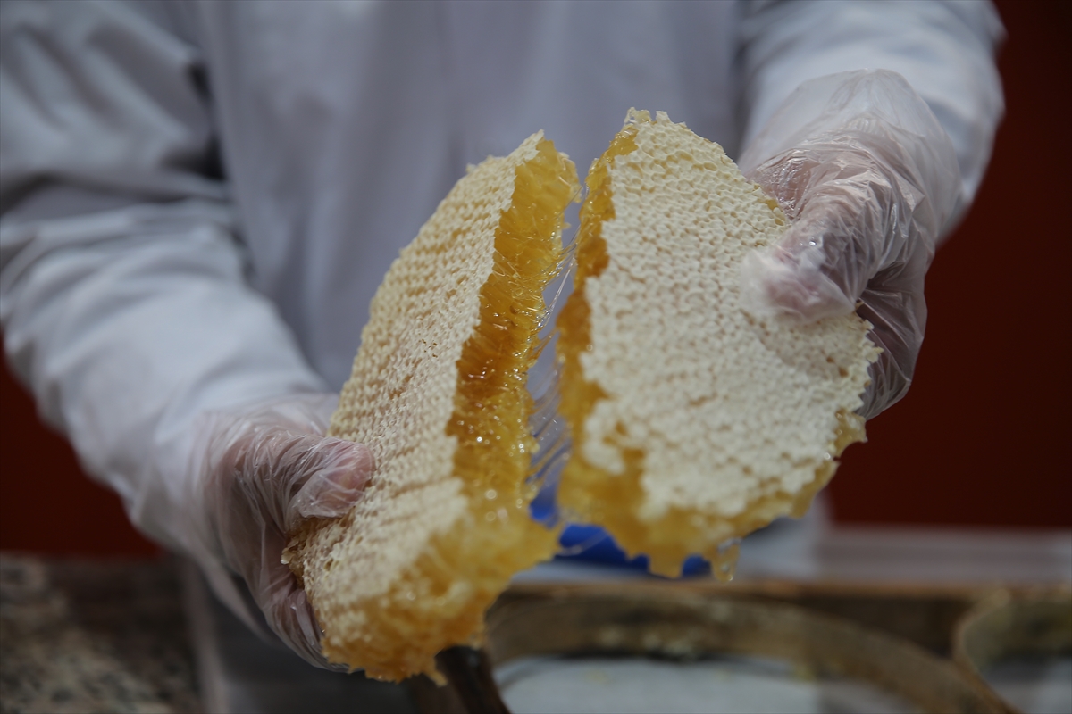 A A 20251218 40012399 40012394 V A N L I A R I C I D U B A I Y E 165 T O N P E T E K B A L G O N D E R D I