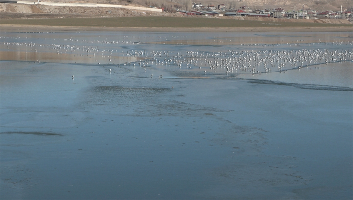 A A 20251221 40039902 40039898 V A N D A K I S I H K E G O L U N U N Y U Z E Y I K I S M E N B U Z L A K A P L A N D I