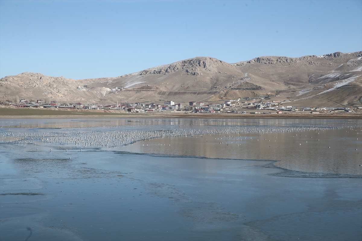 A A 20251221 40039902 40039899 V A N D A K I S I H K E G O L U N U N Y U Z E Y I K I S M E N B U Z L A K A P L A N D I