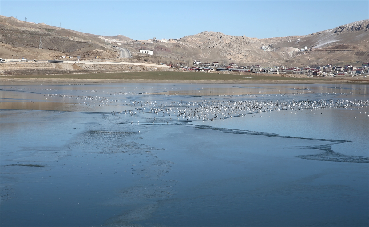 A A 20251221 40039902 40039900 V A N D A K I S I H K E G O L U N U N Y U Z E Y I K I S M E N B U Z L A K A P L A N D I