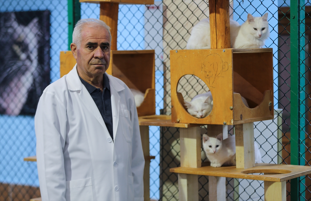 A A 20251224 40062529 40062515 K O R U M A A L T I N D A K I V A N K E D I L E R I B U Y I L 120 Y A V R U D O G U R D U