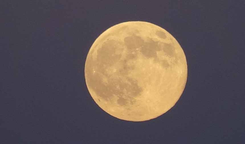 Dolunay Şöleni.jpg2