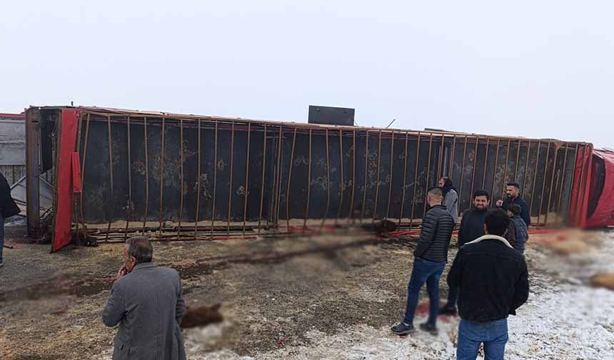 Hayvan Telef Oldu.jpg2