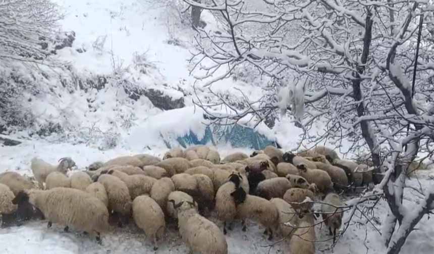 Kar Yağışı.jpg8-4