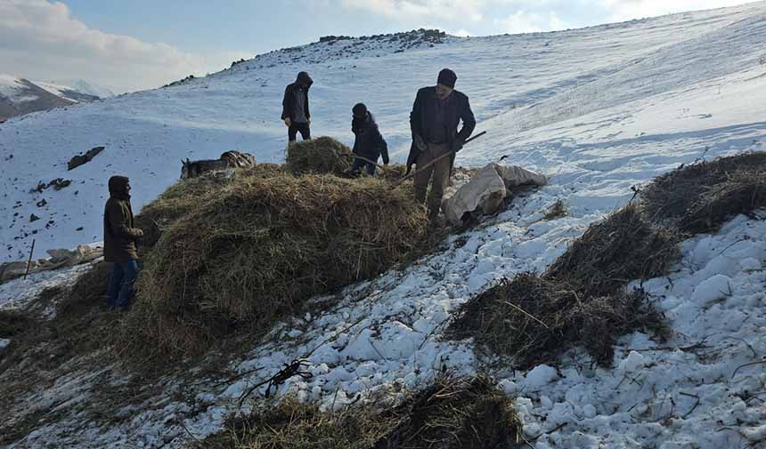 Otları Kızaklarla Taşıma