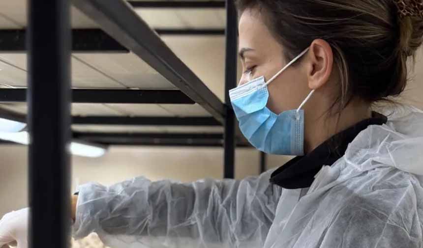 Safran Üretimi.jpg5