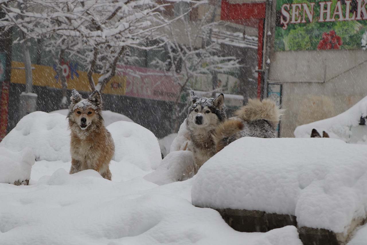 V A N D A 569 Y E R L E S I M Y E R I U L A S I M A K A P A N D I 1083691 321650