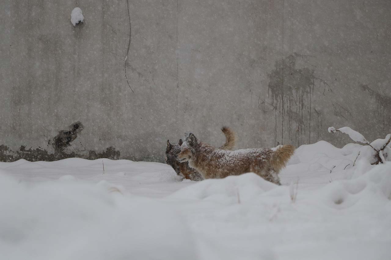 V A N D A 569 Y E R L E S I M Y E R I U L A S I M A K A P A N D I 1083692 321650