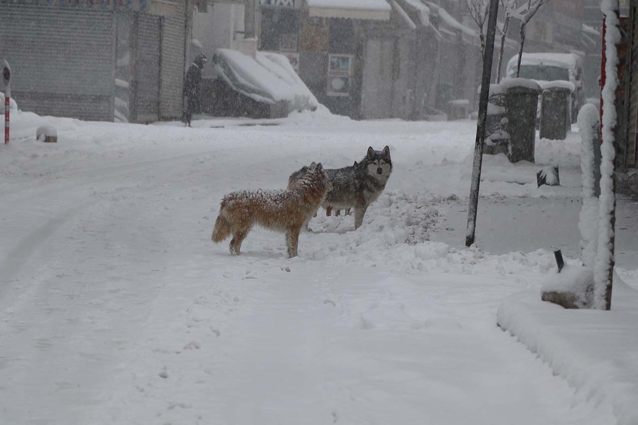 V A N D A 569 Y E R L E S I M Y E R I U L A S I M A K A P A N D I 1083694 321650