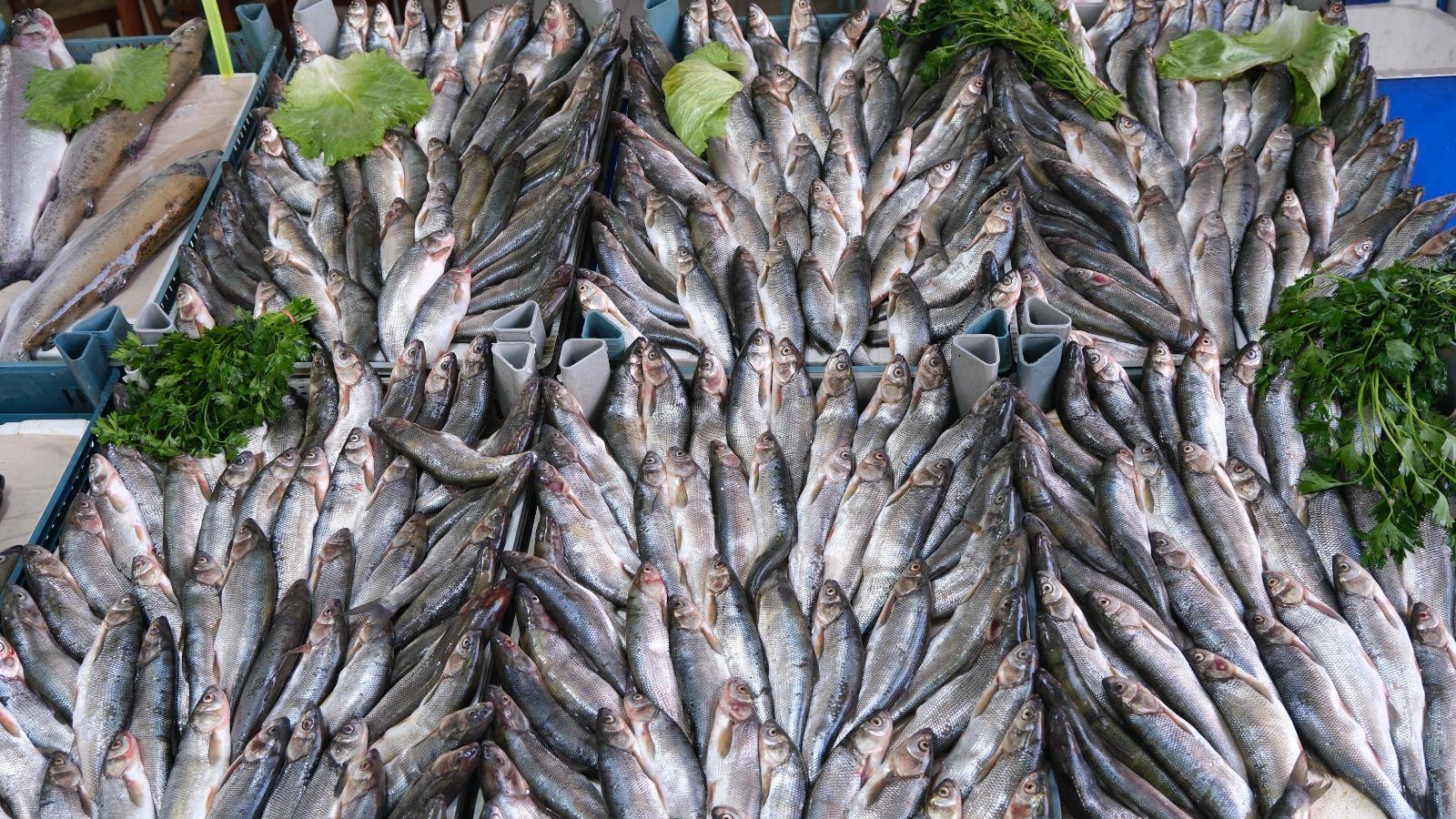 Whatsapp Image 2025 12 12 At 11.58.45 (1)