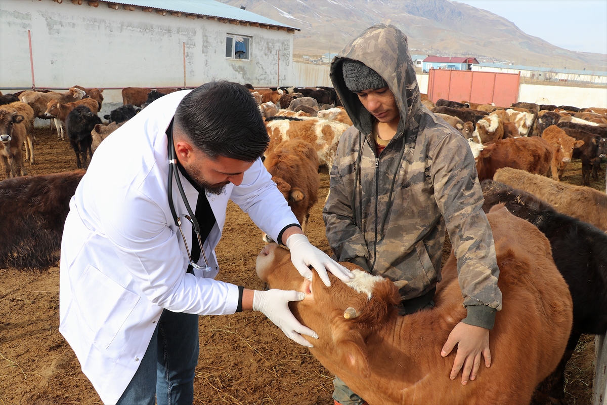 A A 20260105 40162156 40162141 G E N C V E T E R I N E R B A B A M E S L E G I H A Y V A N C I L I G I M O D E R N Y O N T E M L E R L E S U R D U R U Y O R