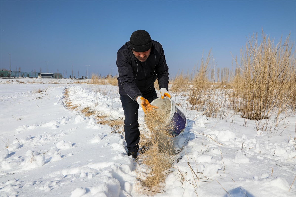 A A 20260109 40203478 40203475 V A N D A Y A B A N H A Y V A N L A R I I C I N D O G A Y A Y E M B I R A K I L D I