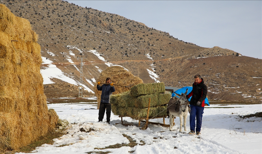 Van Gevaş Zorlu Yaşamü