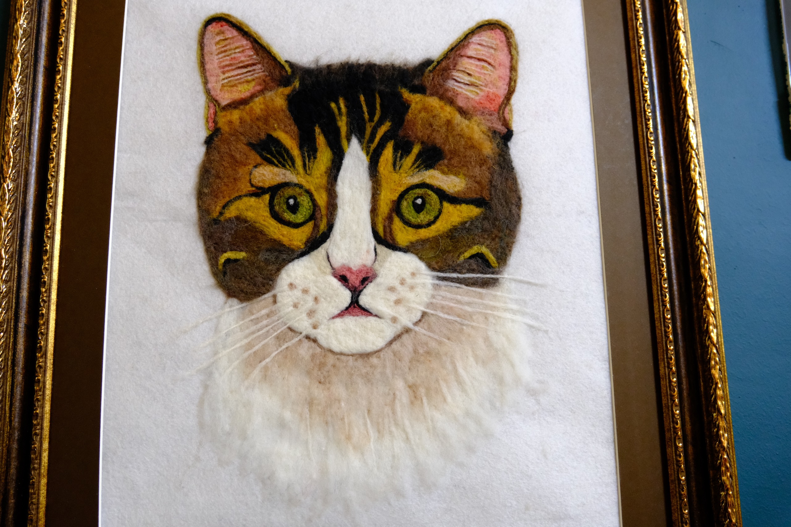 Whatsapp Image 2026 01 19 At 12.33.24