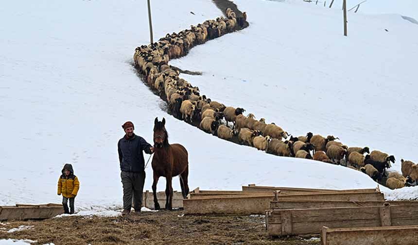 Olumsuz Yaşam Koşulları