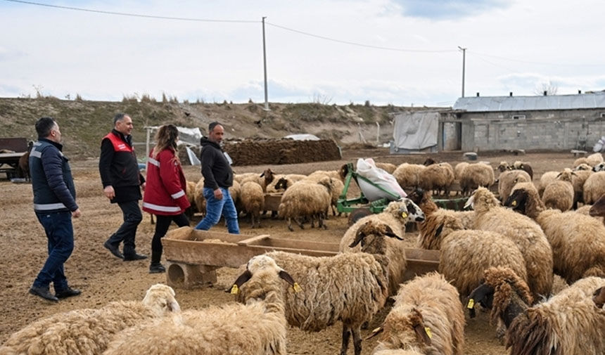 Van Destek Projeleri̇