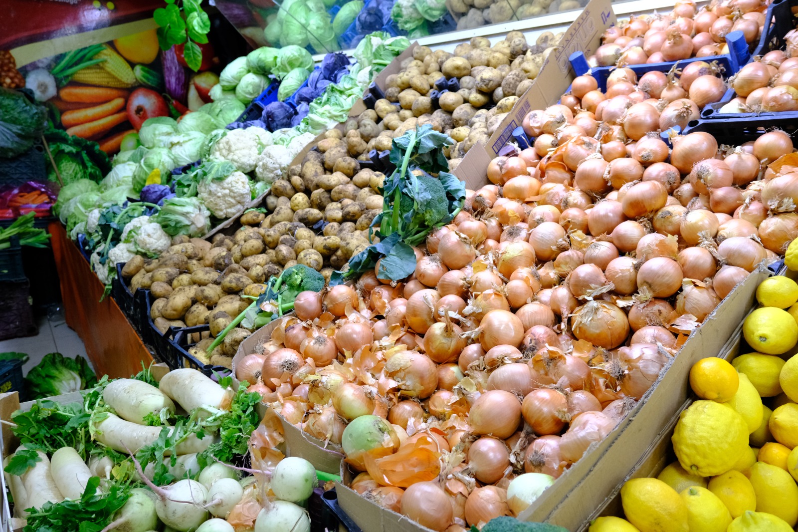 Whatsapp Image 2026 02 10 At 10.59.37 (2)