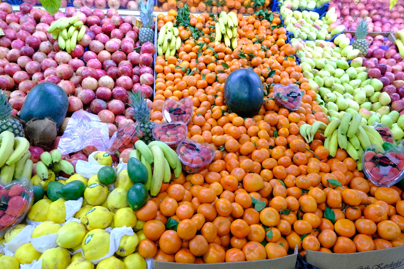 Whatsapp Image 2026 02 10 At 10.59.37