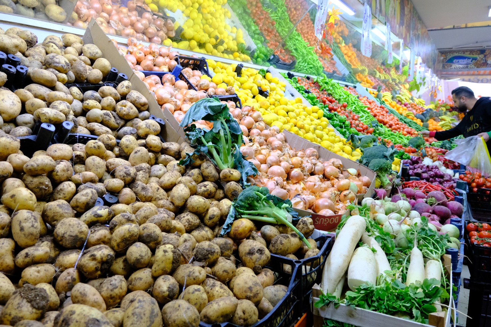 Whatsapp Image 2026 02 10 At 10.59.38