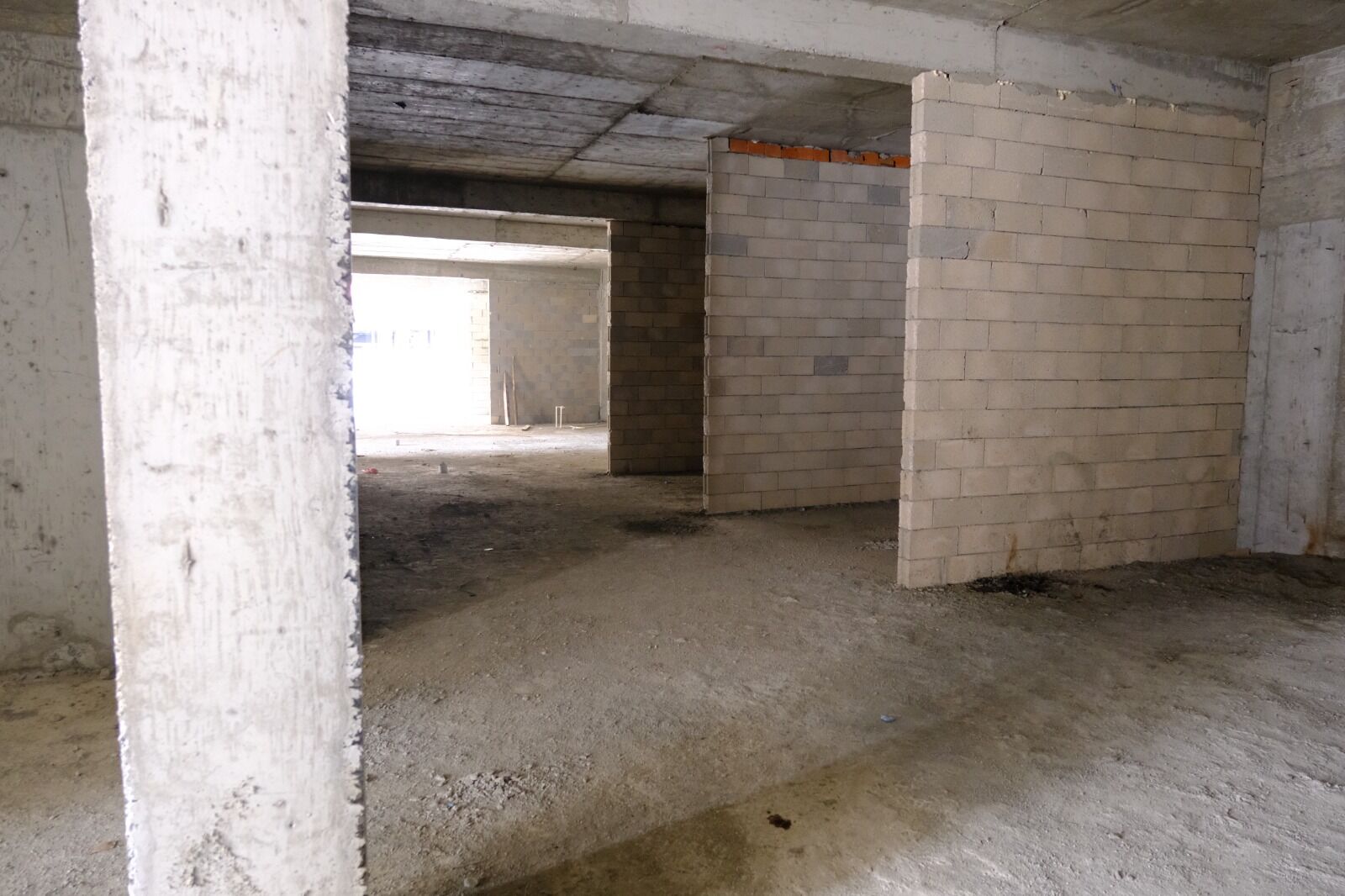 Whatsapp Image 2026 03 04 At 14.11.00