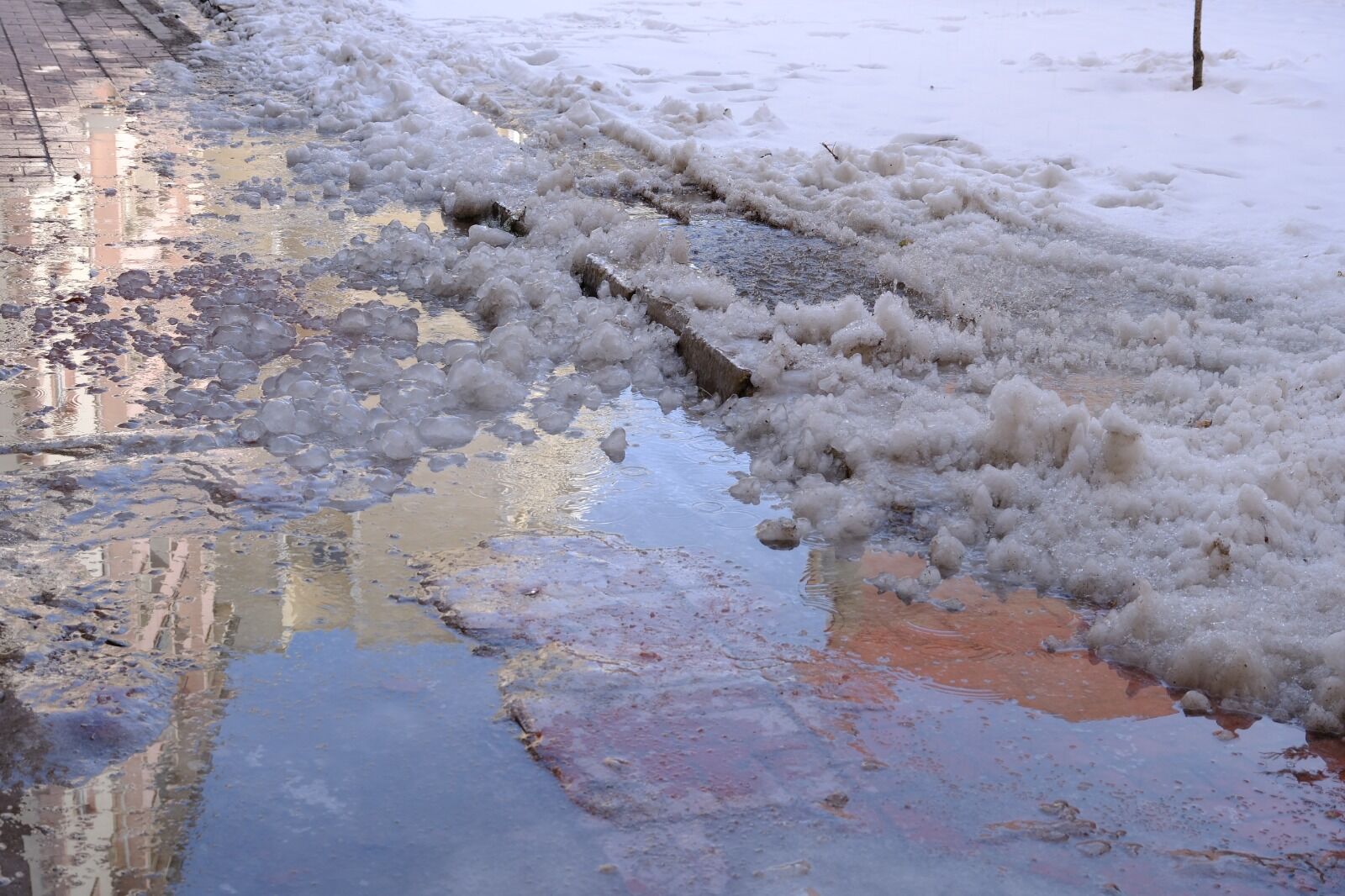 Whatsapp Image 2026 03 05 At 12.29.37 (1)