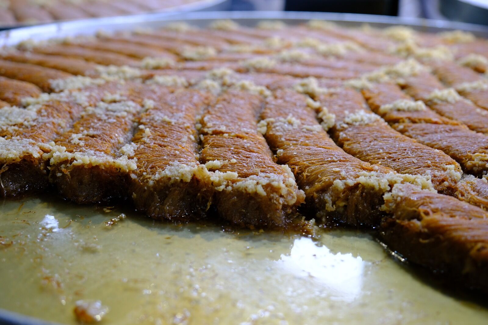 Whatsapp Image 2026 03 19 At 10.17.36 (1)