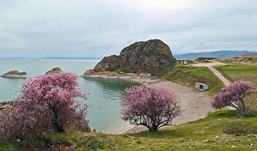 Badem Çiçekleri .Jpg9