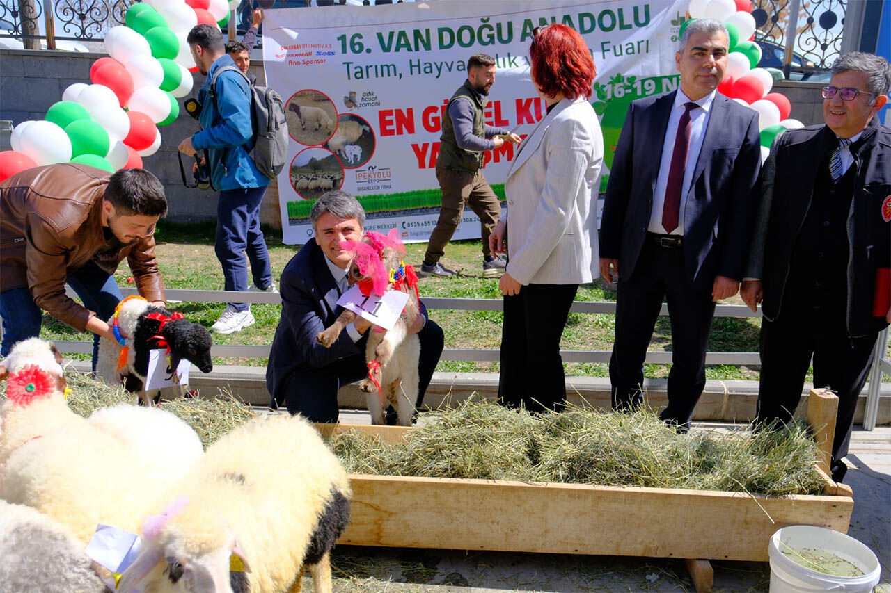 Gida Fuari Son Gun 3