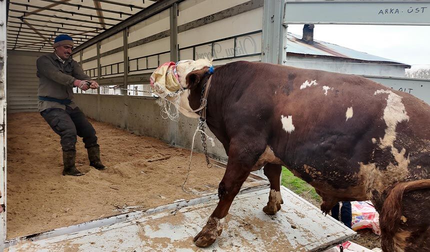 K U R B A L I N L I K A R L