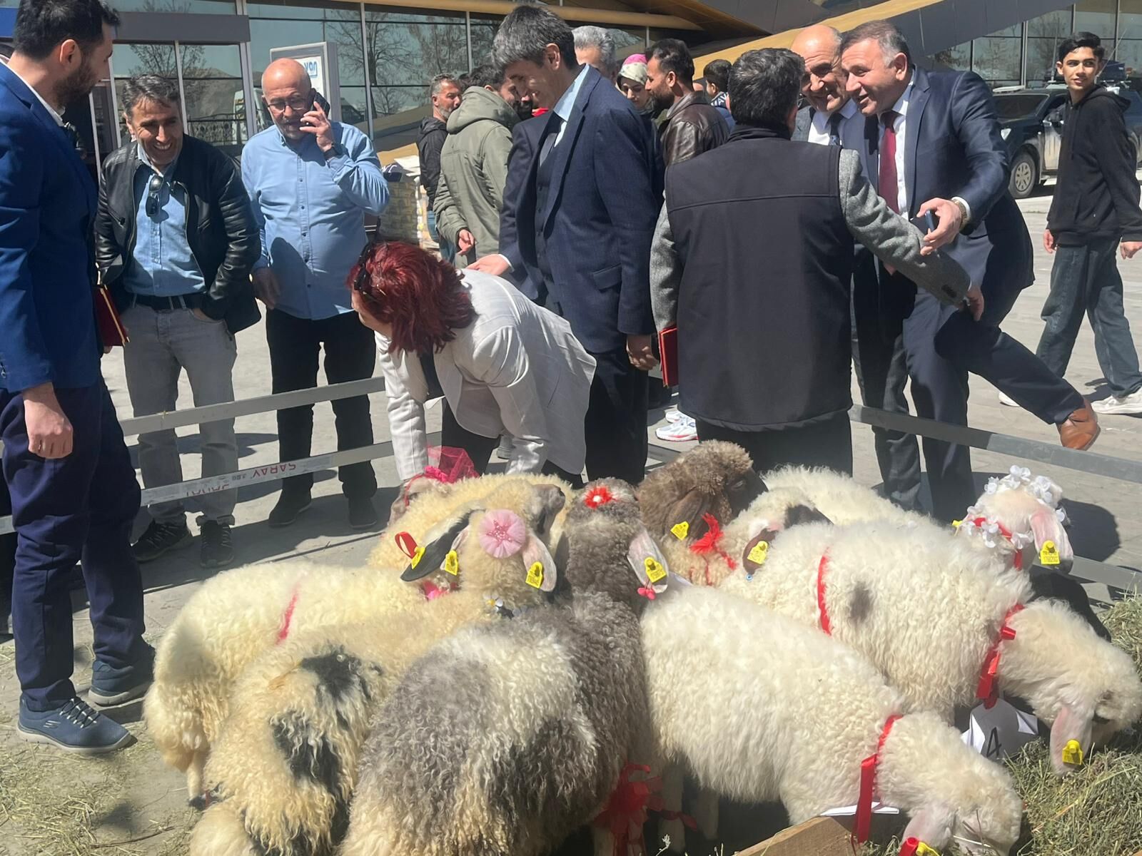 Whatsapp Image 2026 04 16 At 16.06.16 (2)