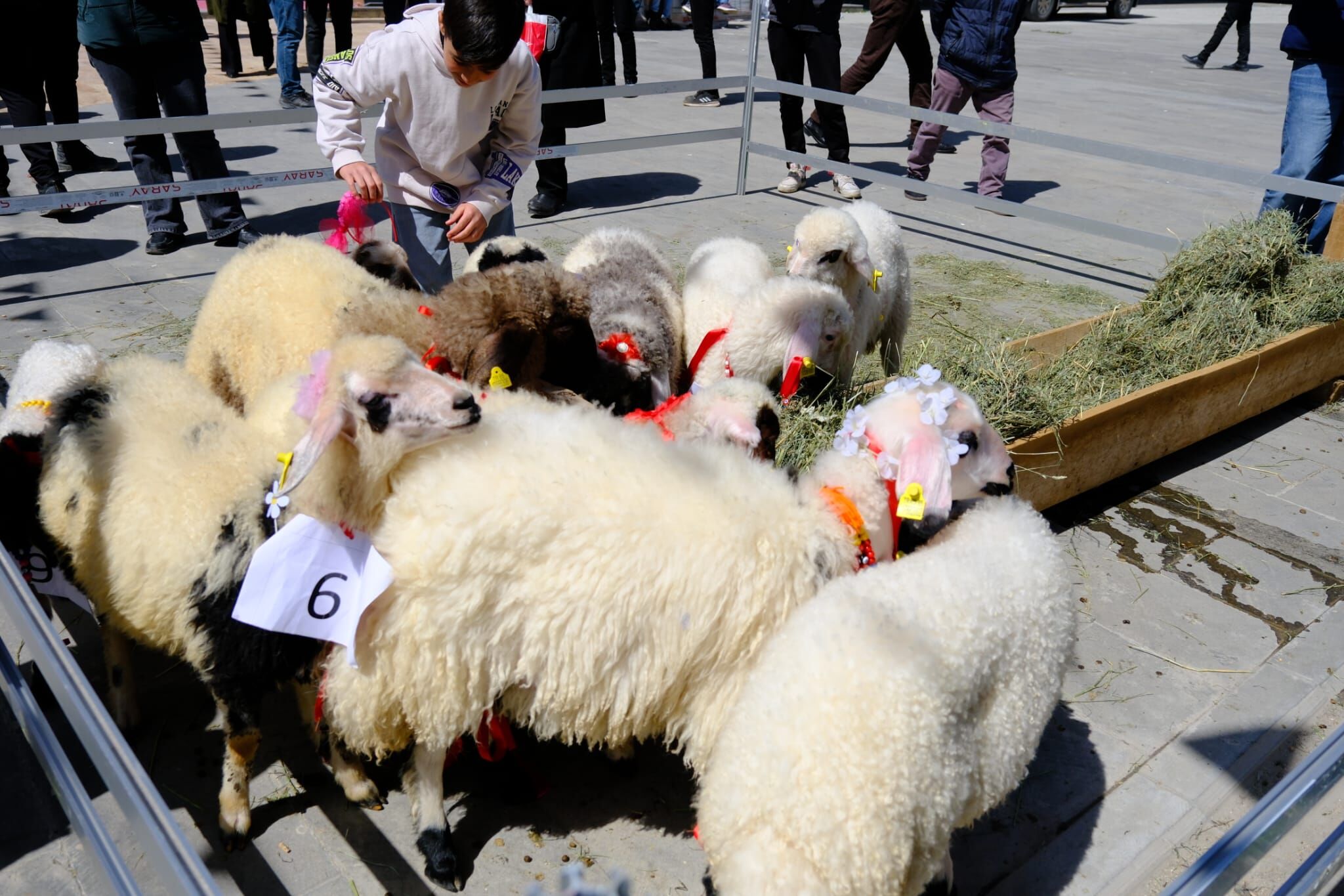 Whatsapp Image 2026 04 16 At 16.06.45