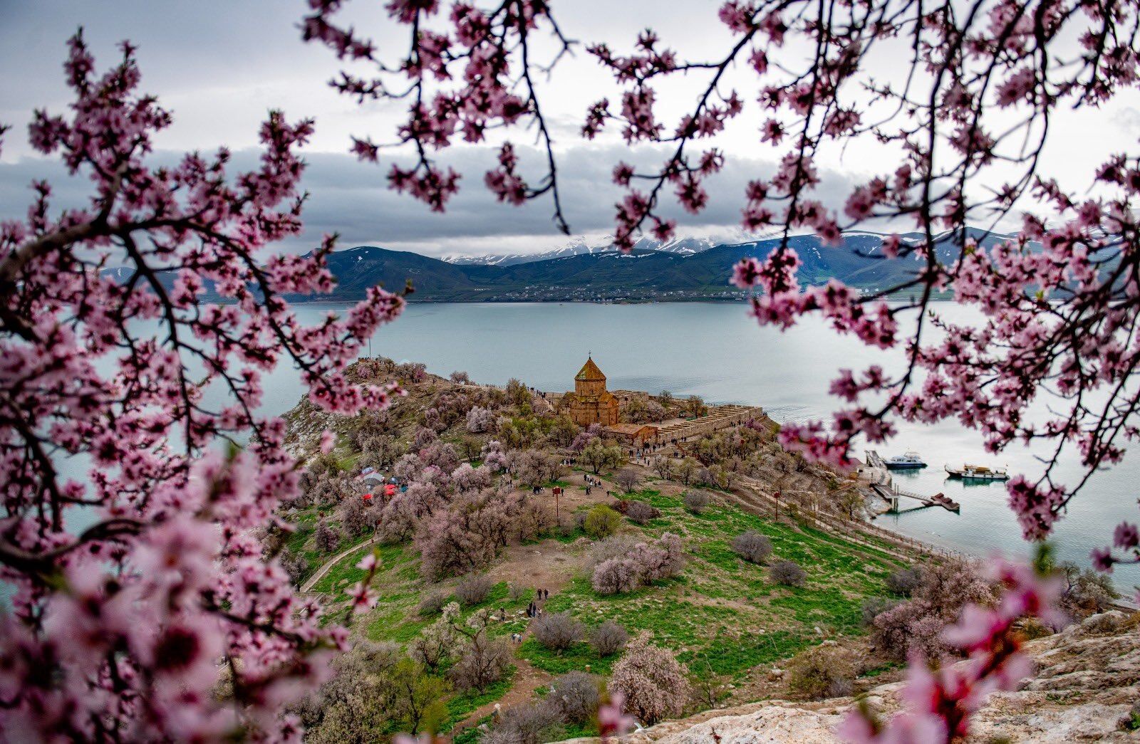 Whatsapp Image 2026 04 30 At 11.47.57