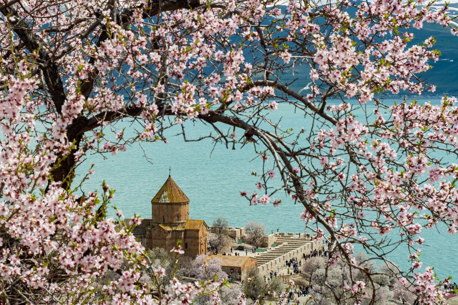 Whatsapp Image 2026 04 30 At 11.48.21