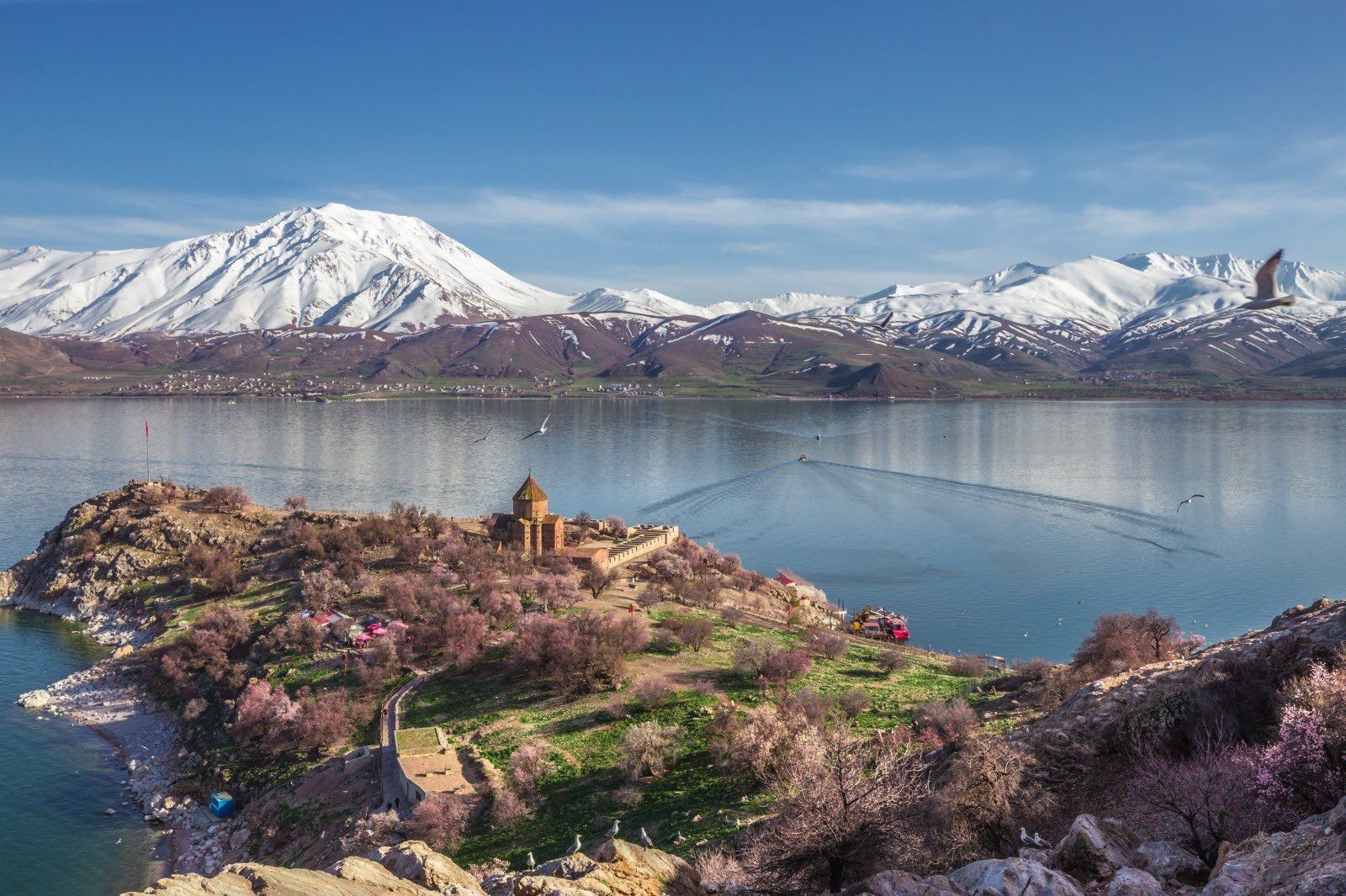 Whatsapp Image 2026 04 30 At 11.48.51