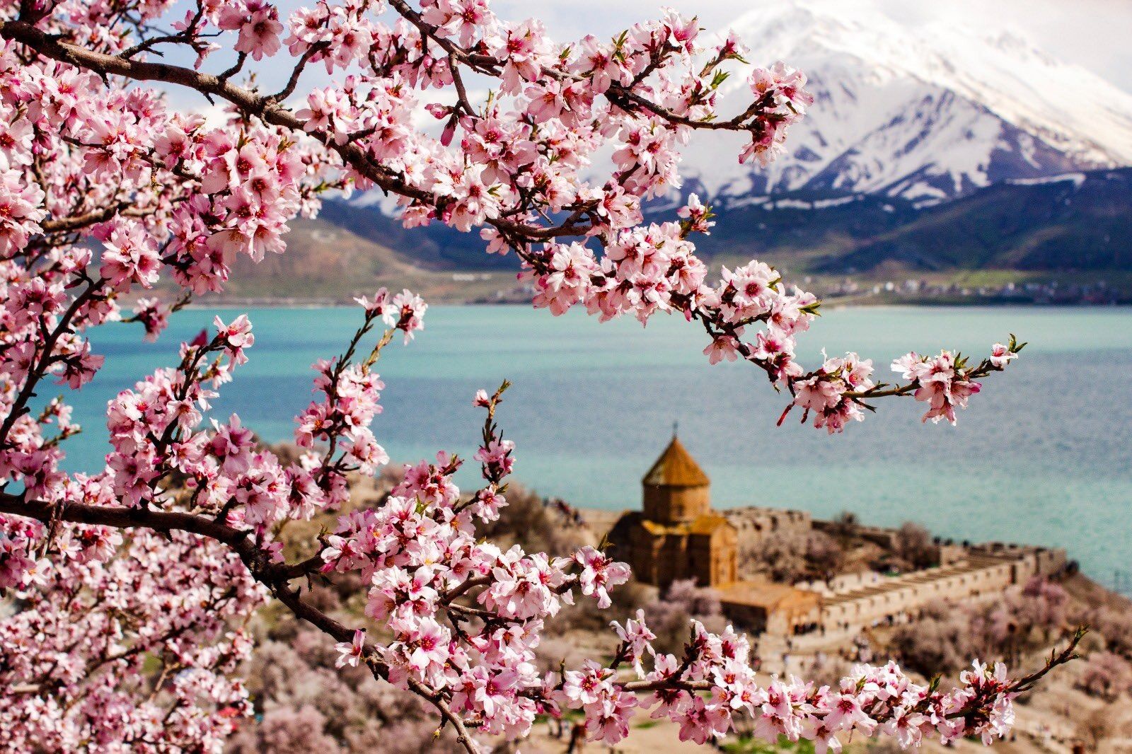 Whatsapp Image 2026 04 30 At 11.49.27