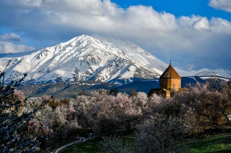 Whatsapp Image 2026 04 30 At 11.49.52