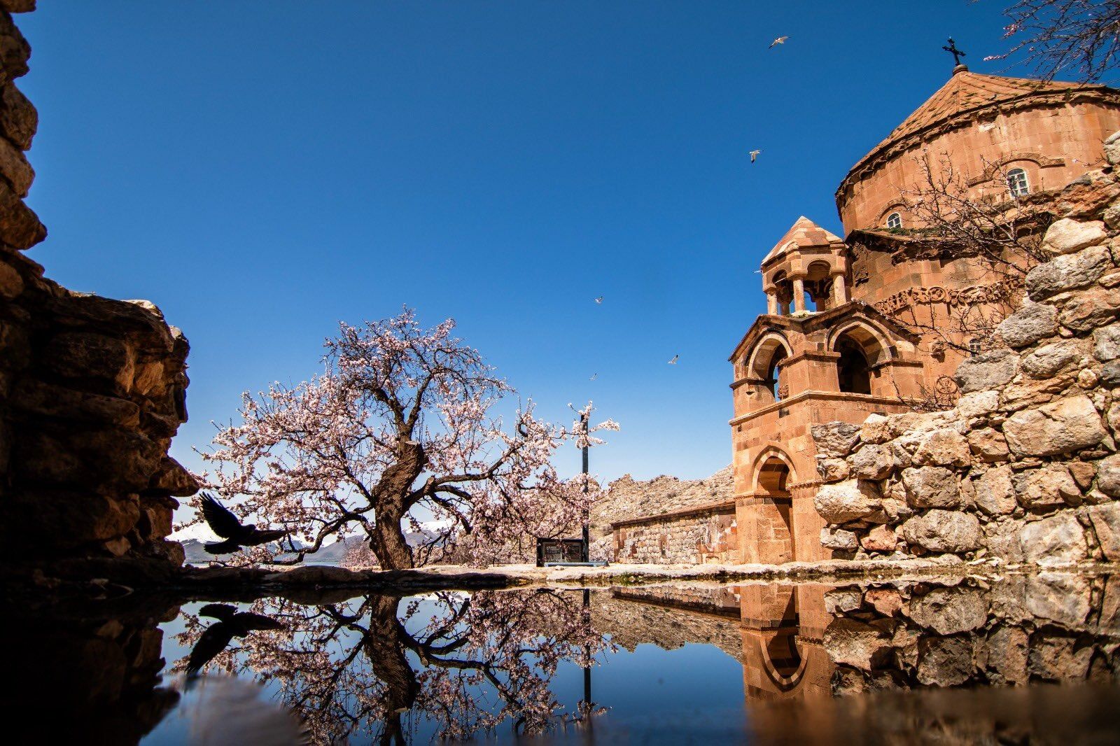 Whatsapp Image 2026 04 30 At 11.50.40