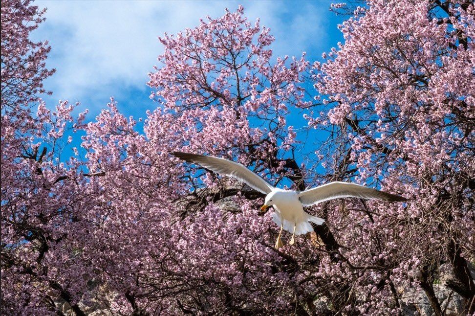 Whatsapp Image 2026 04 30 At 11.50.57