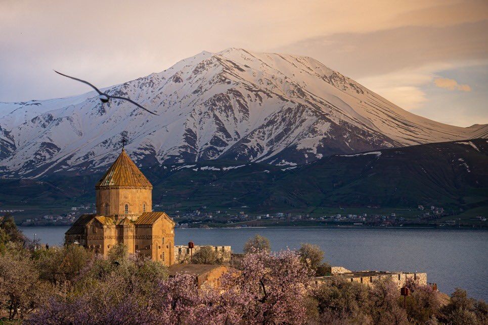 Whatsapp Image 2026 04 30 At 11.51.17