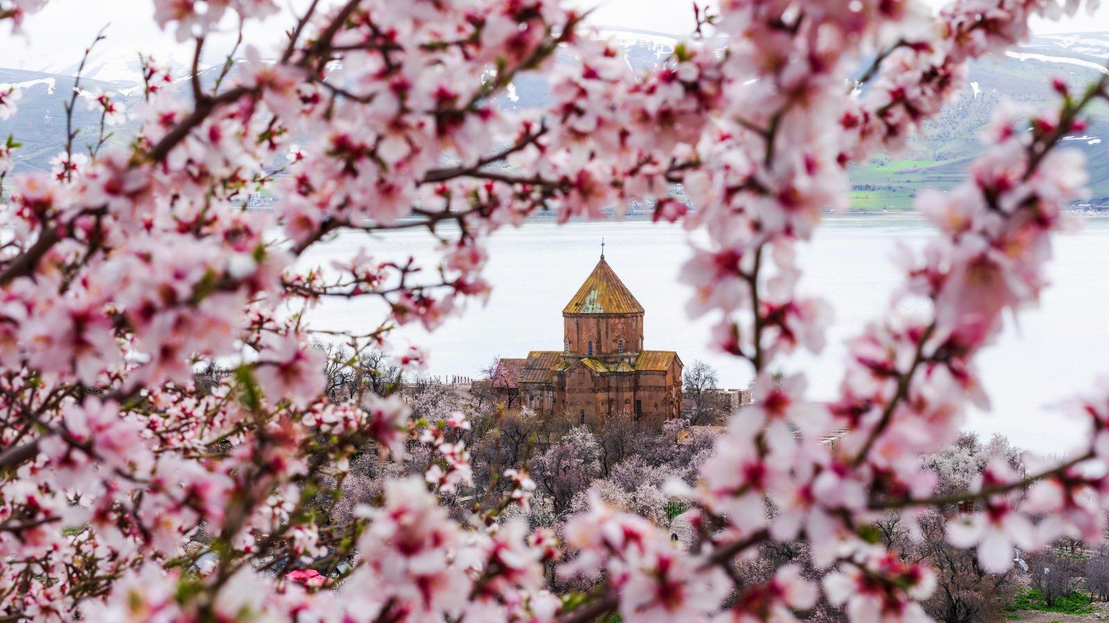 Whatsapp Image 2026 04 30 At 11.51.36