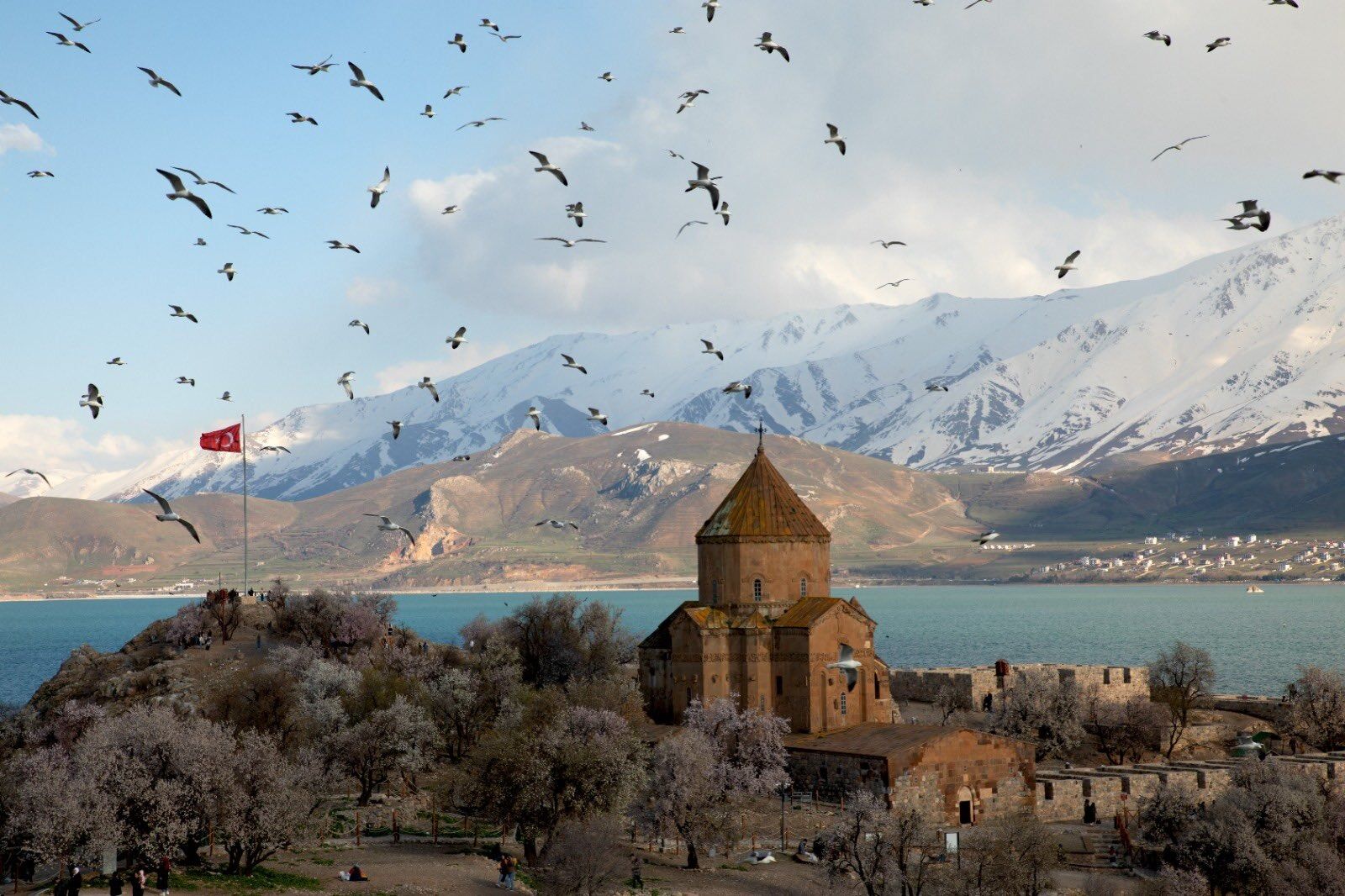 Whatsapp Image 2026 04 30 At 11.52.58