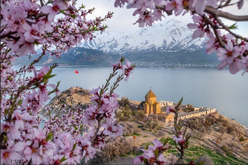 Whatsapp Image 2026 04 30 At 11.53.19